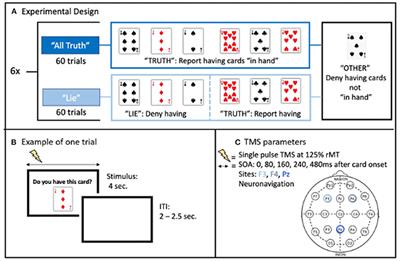 Effects of Online Single Pulse Transcranial Magnetic Stimulation on Prefrontal and Parietal Cortices in Deceptive Processing: A Preliminary Study